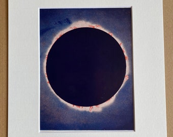 1940s Solar Eclipse Original Vintage Print - Mounted and Matted - Solar Prominence - Astronomy - Celestial Art - Available Framed