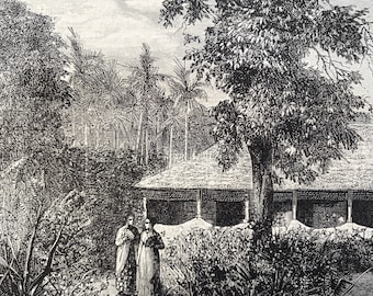 1880 Dutch House in the Island of Ternate Original Antique Print - Indonesia - Mounted and Matted - Available Framed