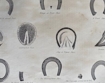 1870 Horse Shoes Original Antique Print - Equine Decor - Equestrian Gift - Horse Anatomy - Gift for Vet