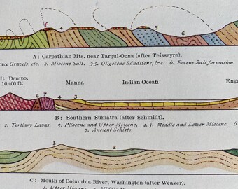 1931 Sections through Miocene Rocks Original Antique Print - Geology - Mounted and Matted - Available Framed