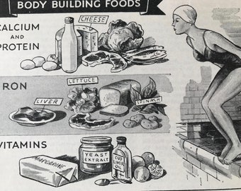 1940s Body Building FoodsOriginal Vintage Illustration - Mounted and Matted - Nutrition - Health - Calcium, Protein, Iron - Available Framed