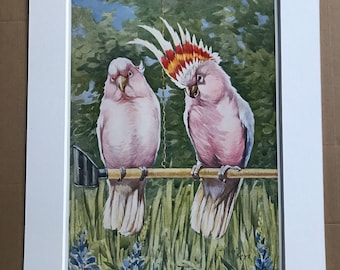 1926 Cockatoos Original Antique Print - Mounted and Matted - Available Framed