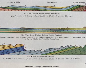 1931 Sections through Cretaceous Rocks Original Antique Print - Geology - Mounted and Matted - Available Framed