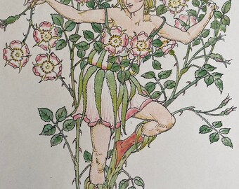 1906 Eglantine - Flowers from Shakespeare's Garden Original Antique Print - Botanical Art - Available