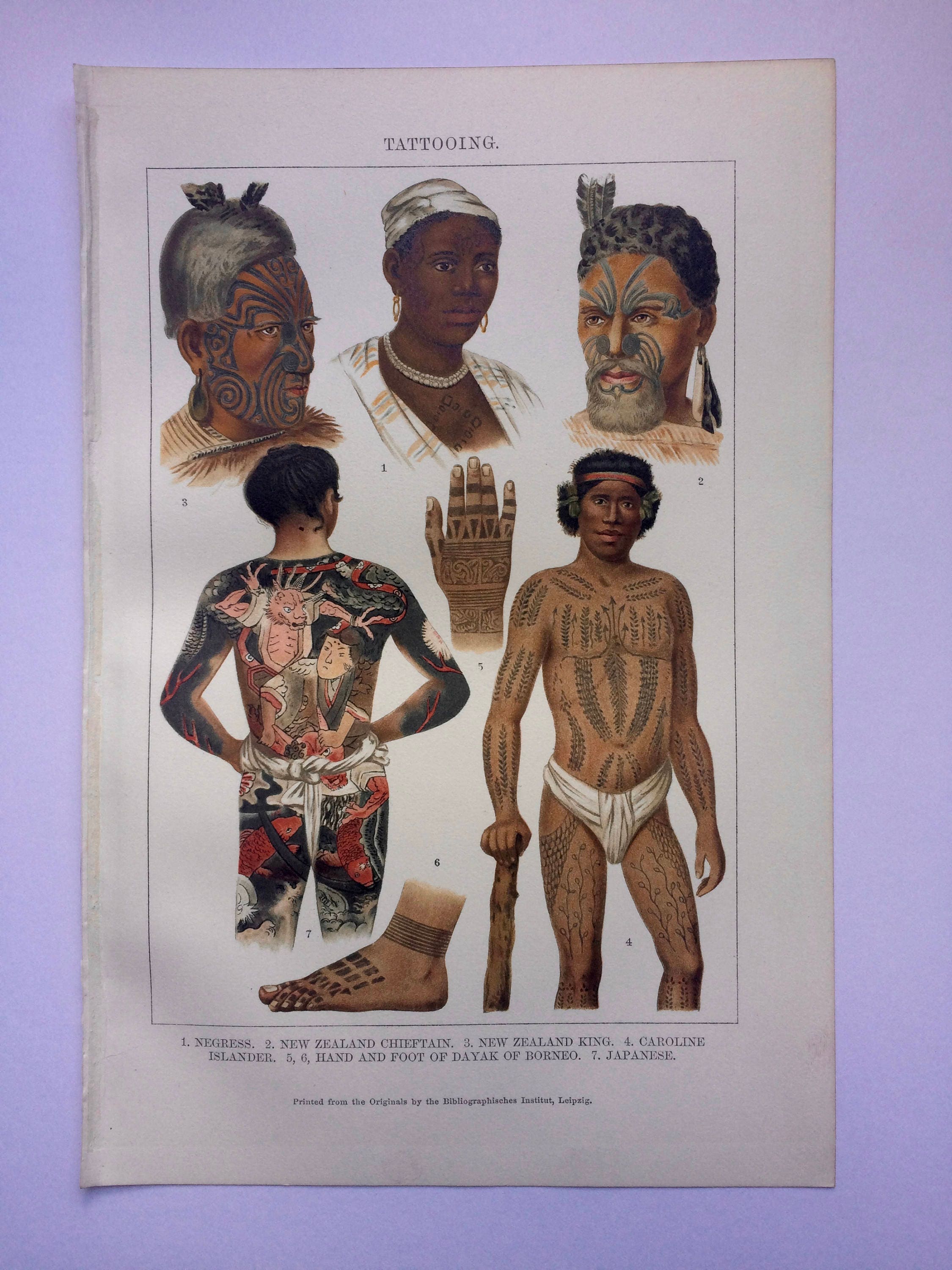 1904 Tattooing Original Antique Print Tattoo Japanese Caroline