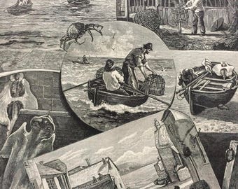 1883 Our Fishing Industries: Crab-Catching in Cornwall Original Antique Engraving - Victorian Decor - Fishing Cabin Decor - Fisherman