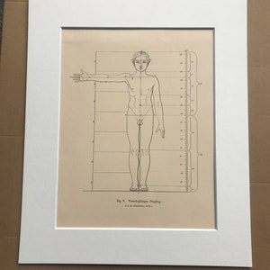 1890 Original Antique Anatomical Print - Dimensions of the Body - Anatomy - Medical Decor - Mounted and Matted - Available Framed