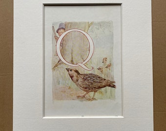 1920 Alphabet Letter Q Quail Original Vintage Margaret Tarrant Illustration - Animal - Mounted and Matted - Available Framed