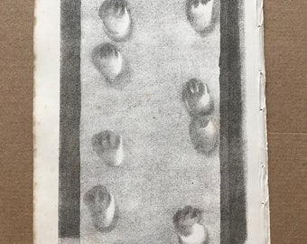1858 Impressions of Footstep over red Sandstone near Dumfries Original Antique Engraving - Fossil - Palaeontology
