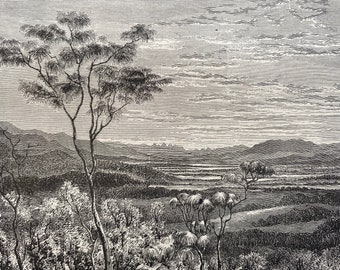 1880 The Valley of the River Brisbane, Queensland Original Antique Print - Australia - Mounted and Matted - Available Framed