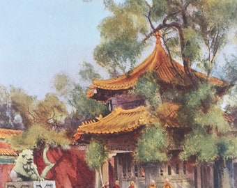 Landscapes, Architecture