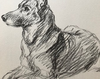 1937 Alsatian Original Vintage Dog Illustration - Lucy Dawson - Animal Art - Dog Drawing - Dog Lover Gift Idea - Available Framed