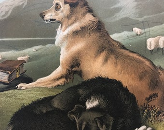 c.1882 Original Antique Edwin Landseer Illustration - Dog - Canine Decor - Victorian Decor - Mounted and Matted - Available Framed