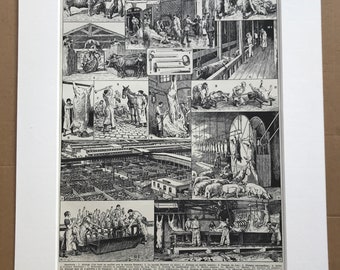 1928 Abattoir Original Antique Print - Slaughter House - Meat Production - Mounted and Matted - Available Framed