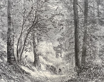 1876 Woods on the banks of the Doubs Original Antique Engraving - France - Forest - Mounted and Matted - Available Framed