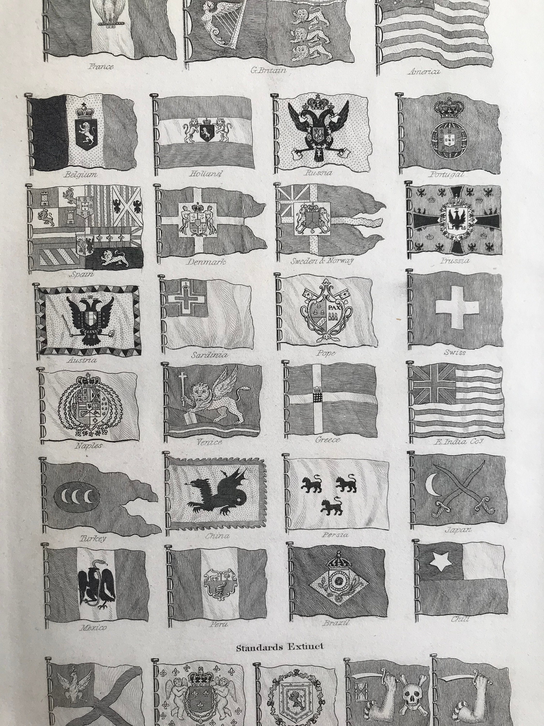 1858 Flags and Extinct Standards Original Antique Engraving