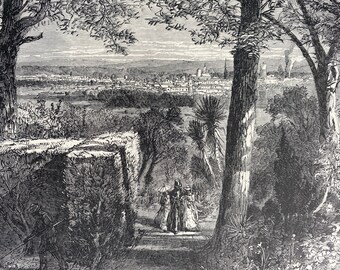 1894 View of Augusta, From Summerville Original Antique Engraving - Georgia - Mounted and Matted - Available Framed