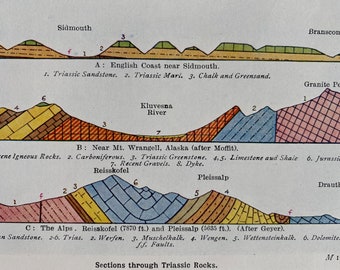 1931 Sections through Triassic Rocks Original Antique Print - Geology - Mounted and Matted - Available Framed