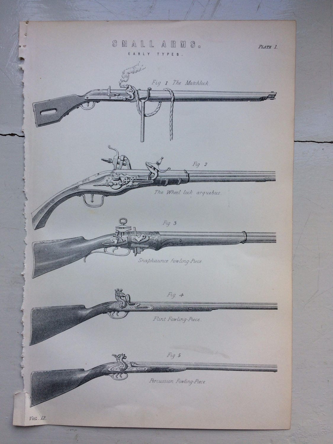 1880 SMALL ARMS (Early Types) Original Antique print Matchlock