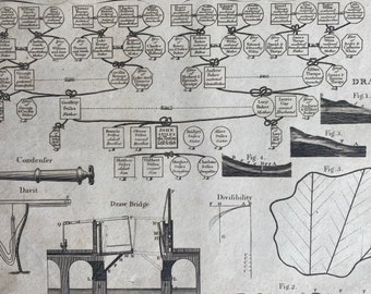 1806 Family Tree, Draw Bridge, Drains, Condenser Original Antique Engraving - Encyclopaedia - Mounted and Matted - Available Framed