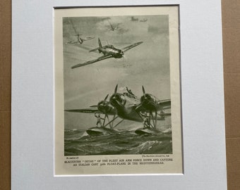 1951 Blackburn 'Skuas' Original Vintage Print - Military Aircraft - Airplane - Mounted and Matted - Available Framed