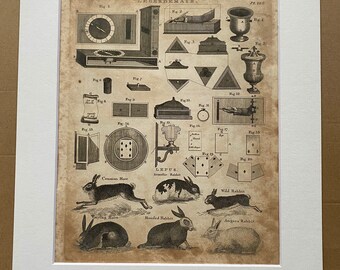 1806 Legerdemain and Rabbits Original Antique Engraving - Encyclopaedia - Mounted and Matted - Available Framed