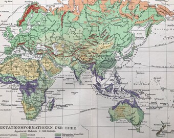 1924 Vegetation Formations of the Earth Original Antique Map - World Map