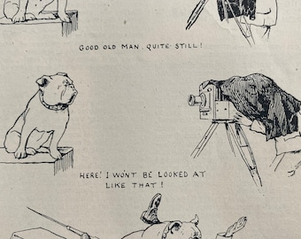 1910 The Amateur Photographer Original Antique Print - Dog Cartoon - Vintage Humour - Victorian Decor - Available Framed