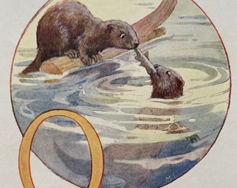 1920 Alphabet Letter O Otter Original Vintage Margaret Tarrant Illustration - Animal - Mounted and Matted - Available Framed