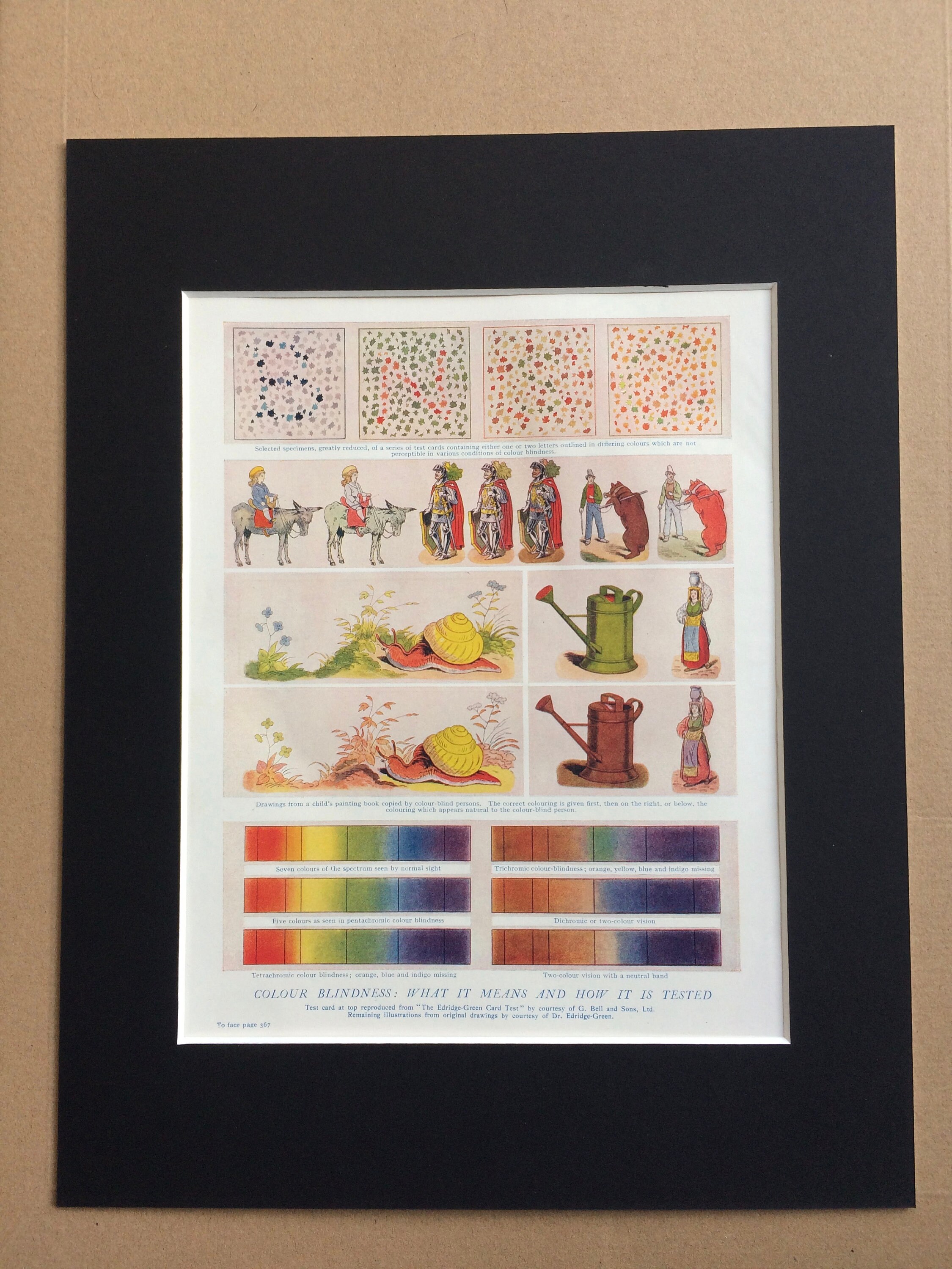 1932 Colour Blindness What it means and how it is tested Original