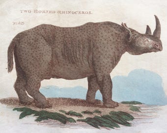 1811 Original Antique Hand-Coloured Engraving - Two-Horned Rhinoceros - Wildlife - Wall Decor - Zoology - Decorative Art