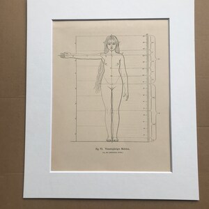 1890 Original Antique Anatomical Print - Dimensions of the Body - Anatomy - Medical Decor - Mounted and Matted - Available Framed