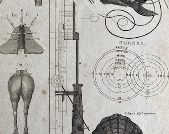 1806 Boring of Ordinance, Ostrea, Orrery, Nicking Original Antique Engraving - Encyclopaedia - Mounted and Matted - Available Framed