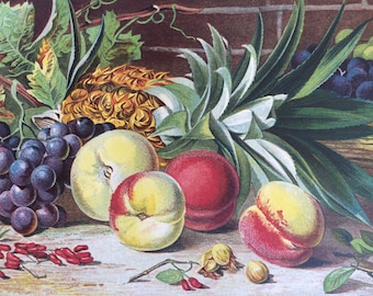 1859 Original Antique Lithograph - Fruit Still Life - Vivid Colours - Botanical wall decor - home decor - Botany - Kitchen Decor