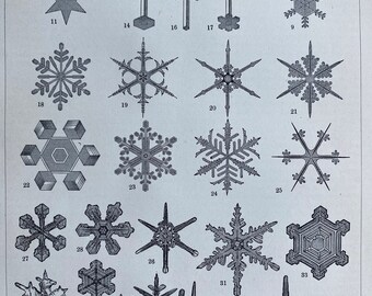 1897 Snowflakes Original Antique Print - Available Framed