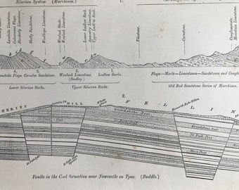 1858 Faults in the Coal formation near Newcastle on Tyne (Buddle) - Silurian and Carboniferous Systems Original Antique Engraving - Geology