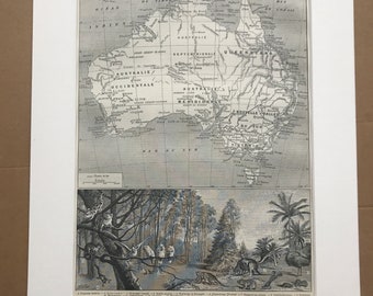 1897 Map of Australia and Australian Wildlife Original Antique Map - Mounted and Matted - Available Framed