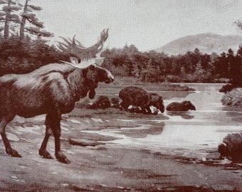 1935 Cervalces, Giant Beaver and Tapir Original Antique Print - Prehistoric Illustration - Mounted and Matted - Available Framed