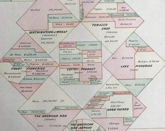 1901 The United States of Today Original Antique Print - Statistics - Animals, Crops, Fishes - USA History