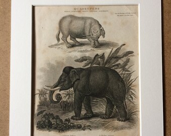 1819 Elephant and Sukotyro Original Antique Engraving - Available Mounted and Matted - Mammal - Wildlife Decor - Available Framed