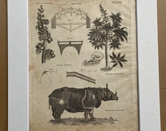 1806 Roofs, Rhinoceros, Motion of Rivers Original Antique Engraving - Encyclopaedia - Mounted and Matted - Available Framed