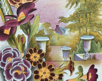 1939 Polyanthus Original Vintage Print - Mounted and Matted - Botanical Illustration - Flower Art - Retro Decor - Available Framed