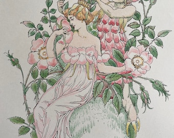 1906 Musk Rose - Flowers from Shakespeare's Garden Original Antique Print - Botanical Art - Available