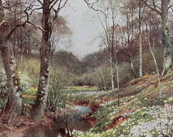 1922 Surrey - Spring Blossoms, near Dorking Original Antique Print - England - Mounted and Matted - Available Framed