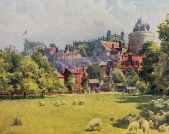 1911 Windsor Castle Original Antique Print - British Castles - England - Mounted and Matted - Available Framed