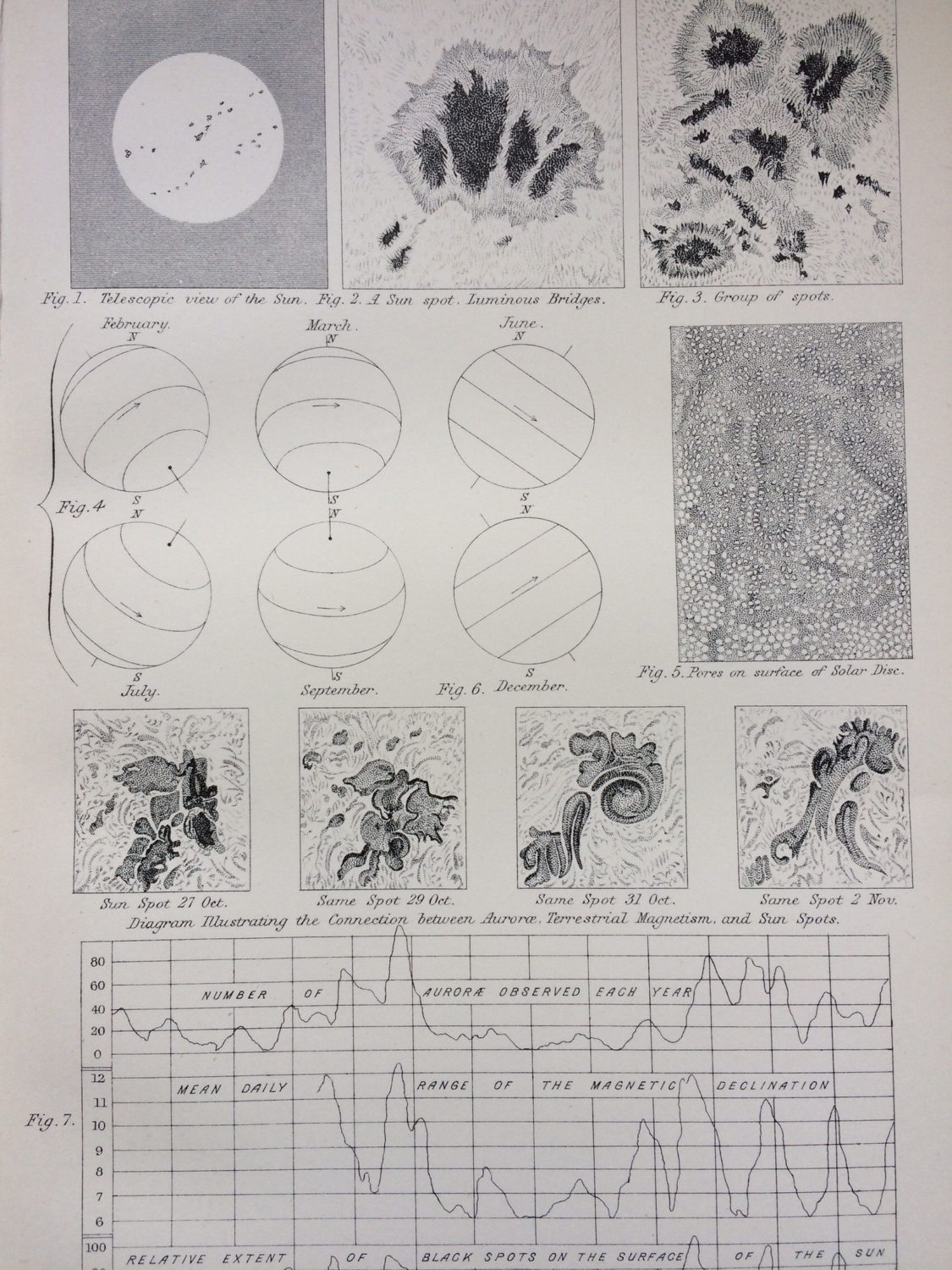1891 THE SUN Original Antique Encyclopaedia Engraved - Etsy