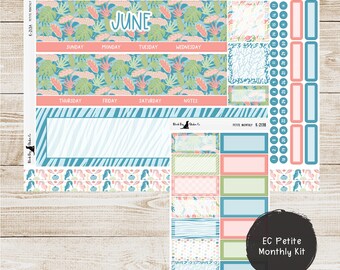PET-213 - Erin Condren Petite Monthly Kit - June 2024 - Island Vibes - Planner Stickers