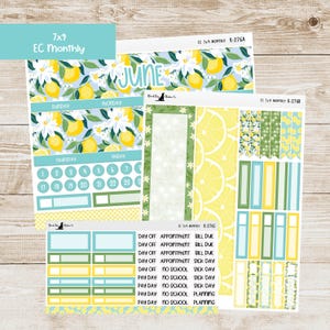 May include: A set of 7x9 inch lemon-themed planner stickers for June. The stickers include a monthly calendar, daily boxes, and various labels with text such as "Day Off", "Appointment", "Bill Due", "Sick Day", "No School", and "Planning".