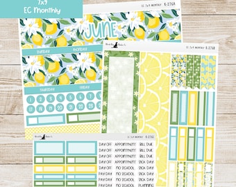 Kit mensuel Erin Condren EC 7 x 9 K-276 - Juin 2025 - Lovely Lemons - Agenda Stickers