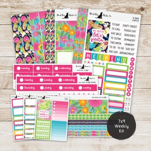 May include: A set of colourful planner stickers with a fiesta theme. The stickers feature a variety of designs, including a sombrero, a cactus, a guitar, and the text "No Siesta Let's Fiesta". The stickers are perfect for adding a touch of fun to your planner.